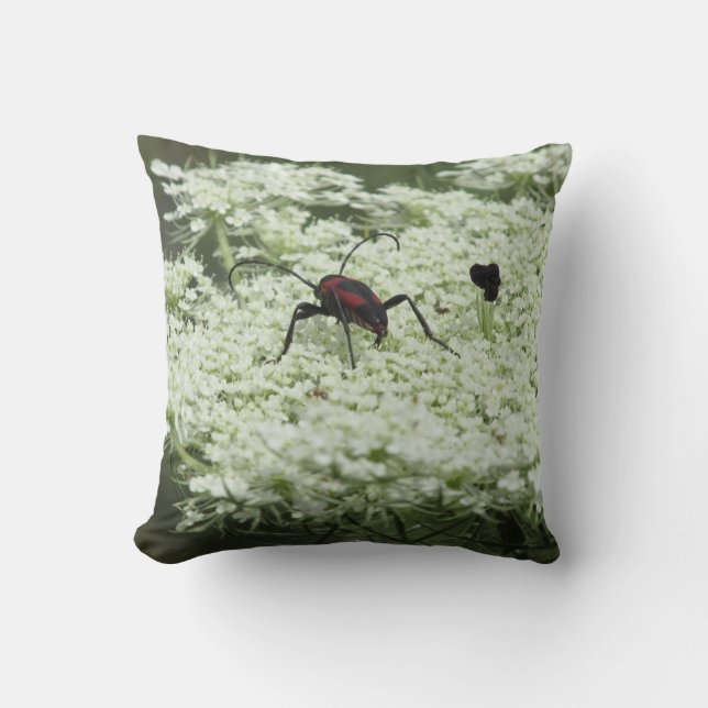 Insekt om Elderblomma Kudde (Framsida)