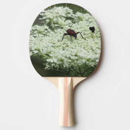 Insekt om Elderblomma Pingisracket