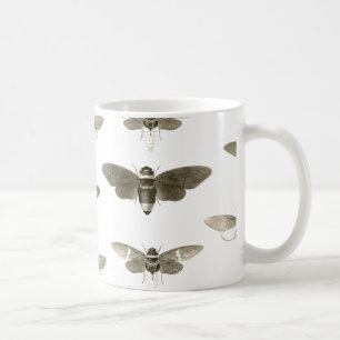 Insektälskaremugg - vintagecikadaillustration kaffemugg