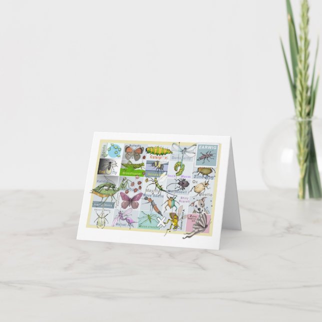 Insekten Alphabet-mappat gratulationskort Kort (Framsida)