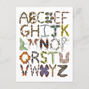 Insekten Kryp Alphabet Kids - ABC Vykort