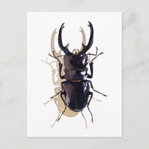 insekten "Stag beetle" Vattenfärgsbild Vykort