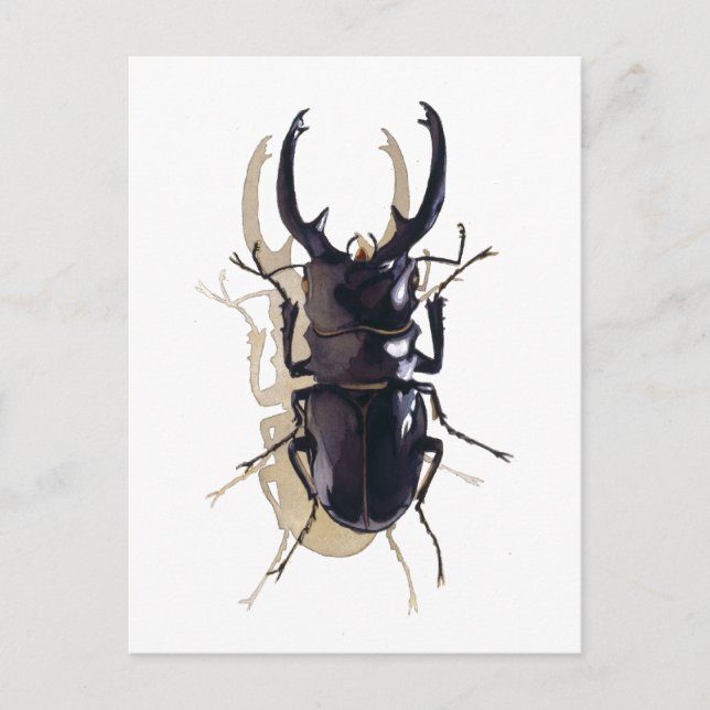 insekten "Stag beetle" Vattenfärgsbild Vykort (Framsida)