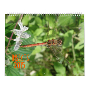 Insekter 2015-kalender kalender