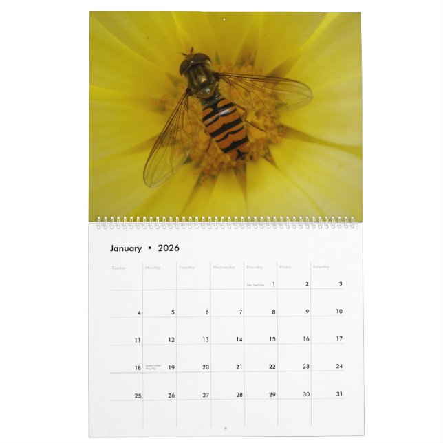 Insekter 2015-kalender kalender (Jan 2026)