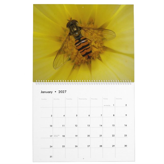 Insekter 2015-kalender kalender (Jan 2027)