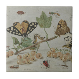 Insekter & frukter kakelplatta