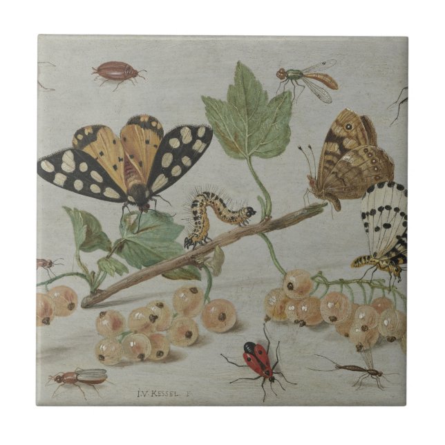 Insekter & frukter kakelplatta (Framsidan)