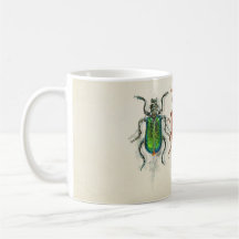 Insekter