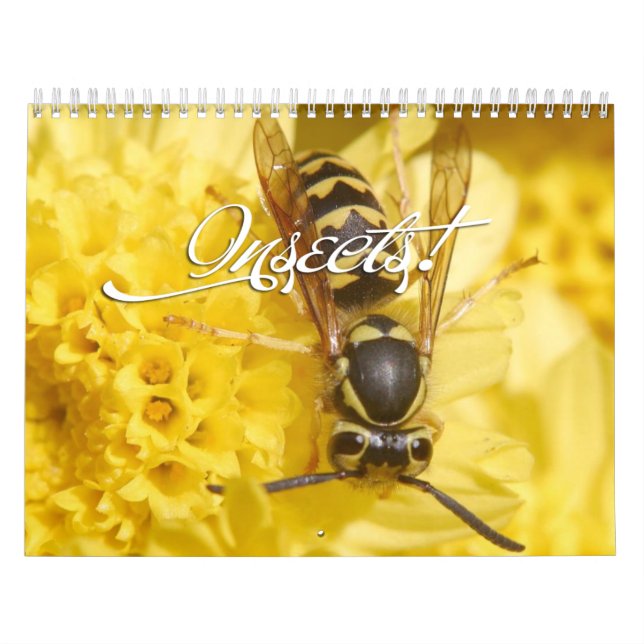 Insekter kalender (Omslag)