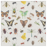 Insekter Liv Bugs