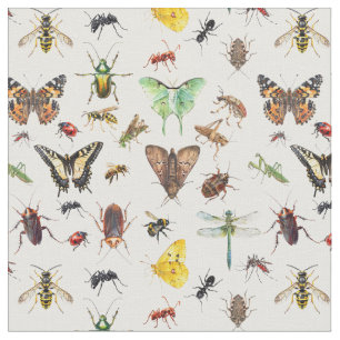 Insekter Liv Bugs Tyg