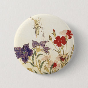 Insekter och blommor vid Utamaro Knapp