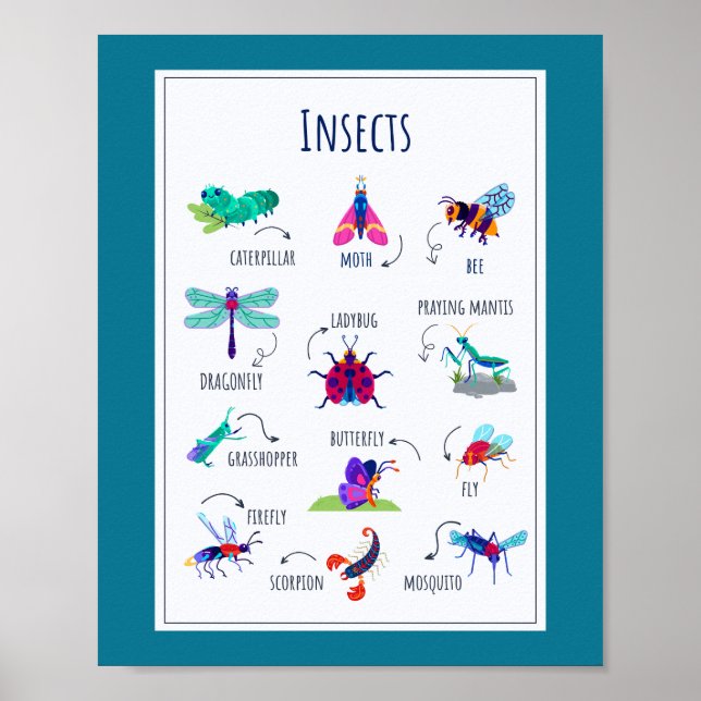 Insekter skolutbildning poster (Framsidan)