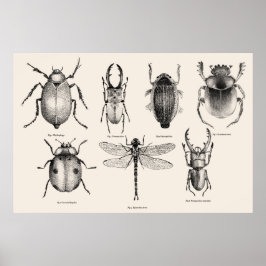 Insektert diagram II Poster