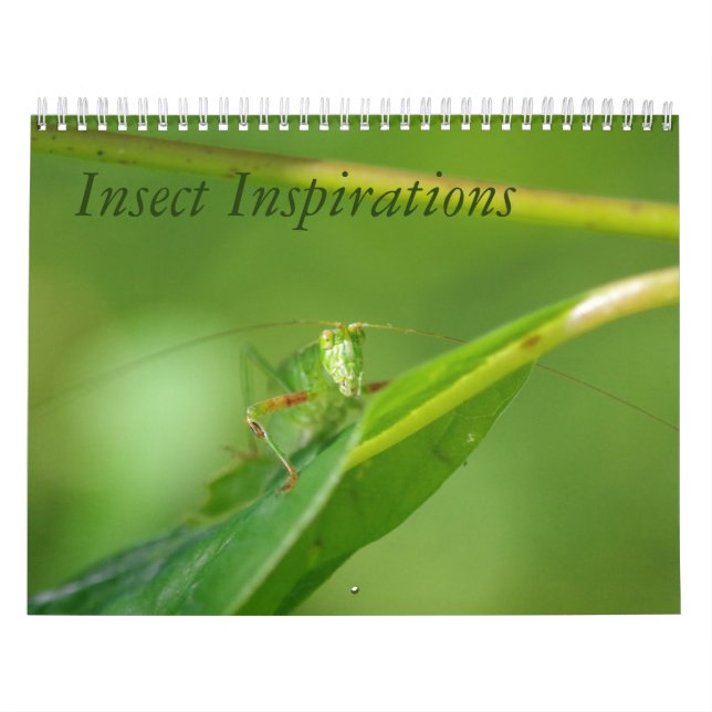 Insektinspirationkalender Kalender (Omslag)