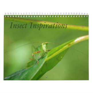 Insektinspirationkalender Kalender