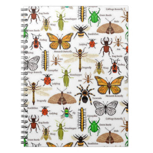 Insektra Anteckningsbok