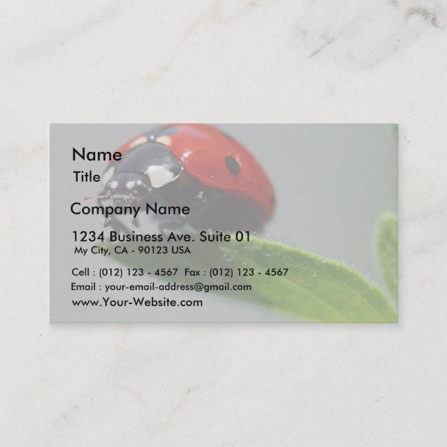 Insektra nyckelpigor visitkort (Framsida)