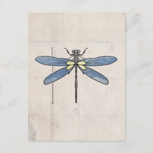 Insektra serien - Dragonfly med VOL25 Vykort