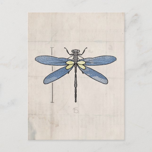 Insektra serien - Dragonfly med VOL25 Vykort (Framsida)