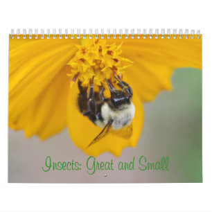 Insektrare: Underbarare och liten kalender