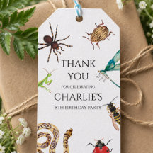 Insektsinbjudan, Utomhusfödelsedag, Insektsfest, K