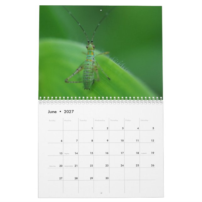 Insekttjusningkalender Kalender (Jun 2027)