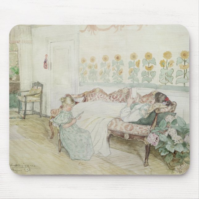 Insida 1898 musmatta (Framsidan)