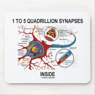 Insida för 1 till 5 QuadrillionSynapses (neuronen Musmatta