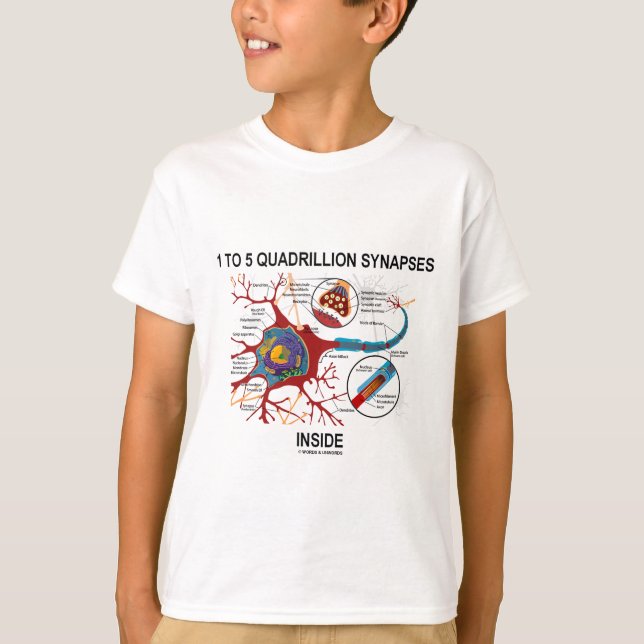 Insida för 1 till 5 QuadrillionSynapses (neuronen) Tee (Framsida)