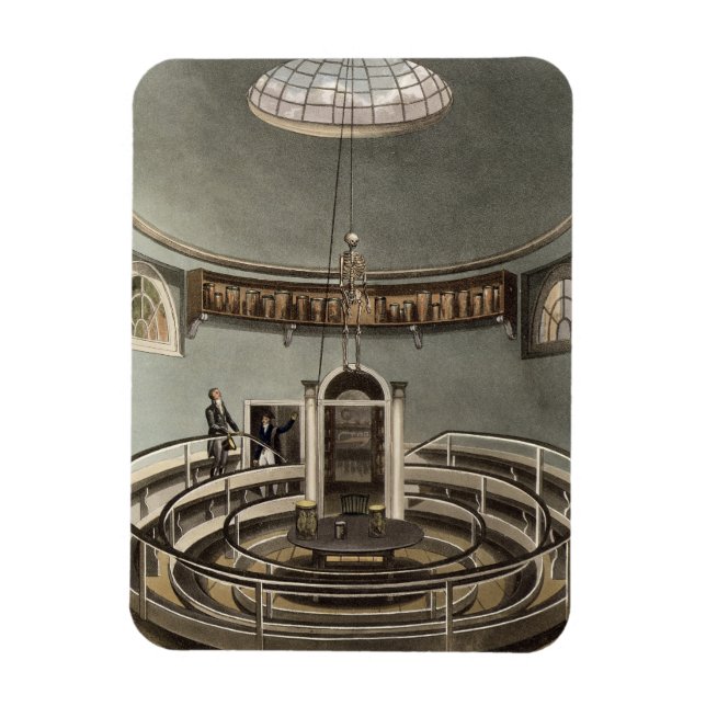 Insida i Anatomiteatern, Cambridge, från Magnet (Vertikal)