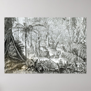 Insida i en Primeval Forest i Amazons Poster