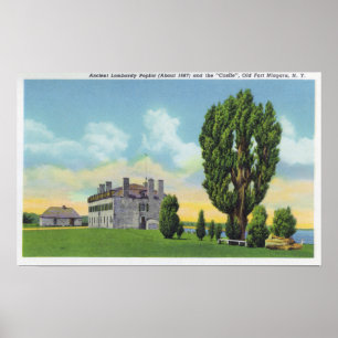 Insida i Jesuit Chapel i Franskens gamla slott Poster