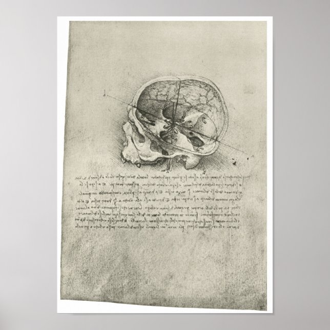 Insida View of the Skull, Leonardo da Vinci Poster (Framsidan)