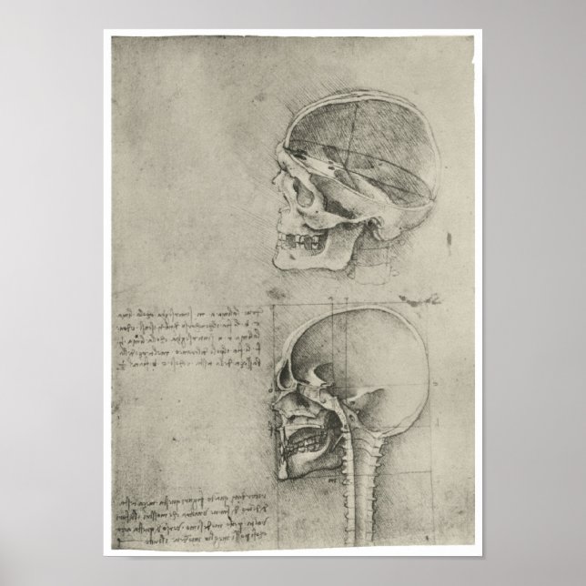 Insida View of the Skull, Leonardo da Vinci Poster (Framsidan)