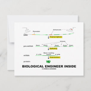 Insidan av det biologiska Ingenjör