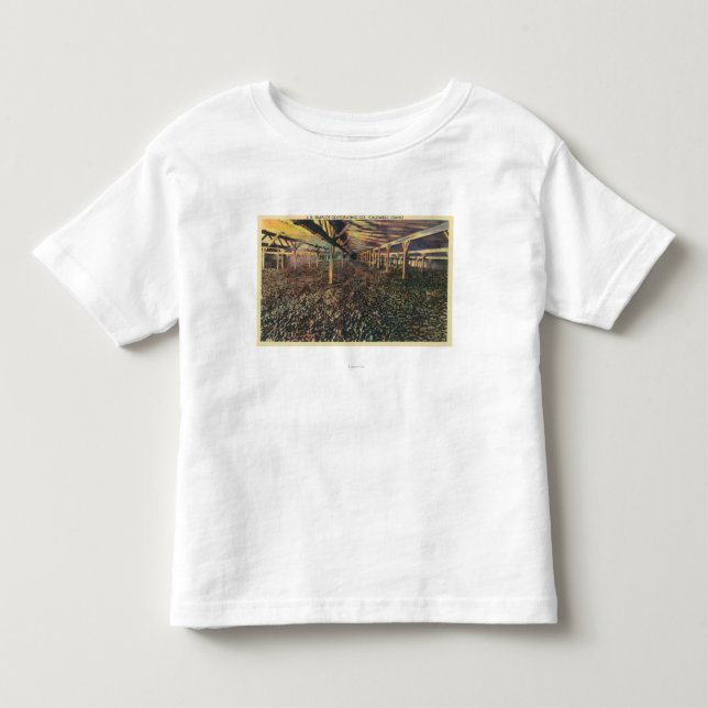 Insidan beskådar av JREN Simplot som torkar Co T-shirt (Framsida)