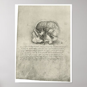 Insidan beskådar av skallen, Leonardo Da Vinci Poster