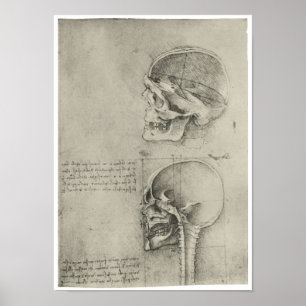 Insidan beskådar av skallen, Leonardo Da Vinci Poster