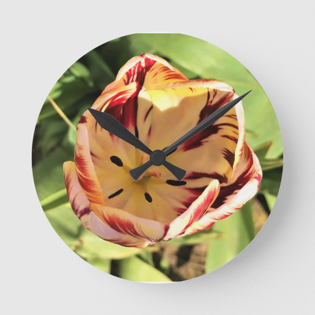 Inside Red & White Tulip Rund Klocka (Framsida)