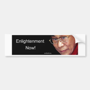 Insikt nu! - Dalai Lama Bildekal