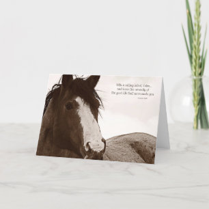 Insiktsoffert med vacker horse Art Kort
