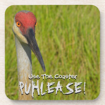 Insistent Sand Backe Crane