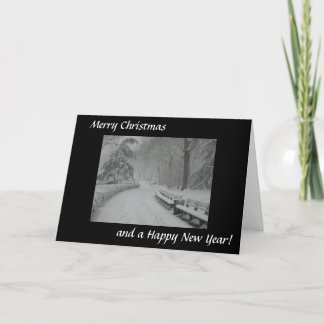 Insnöade Central Park Helgkort