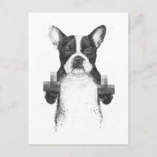 Inspärrat vykort för hund