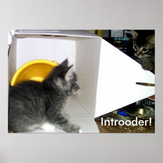 Inspektör! Kitten poster