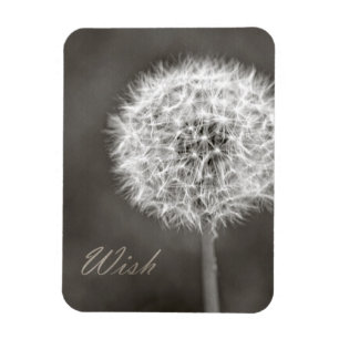 Inspikad Wish Dandelion Magnet