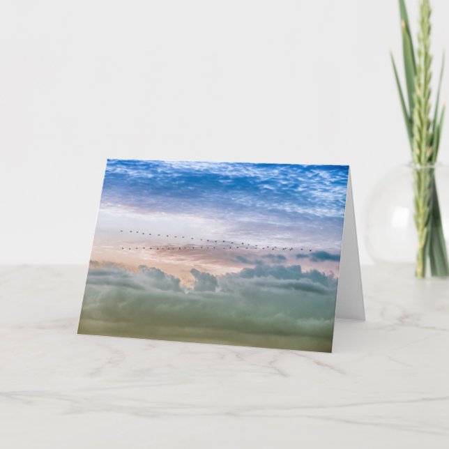 Inspiration av fågelmigrationsteamet för Flytta fr Kort (Framsida)