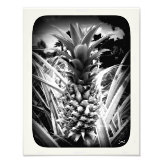 inspiration fototryck